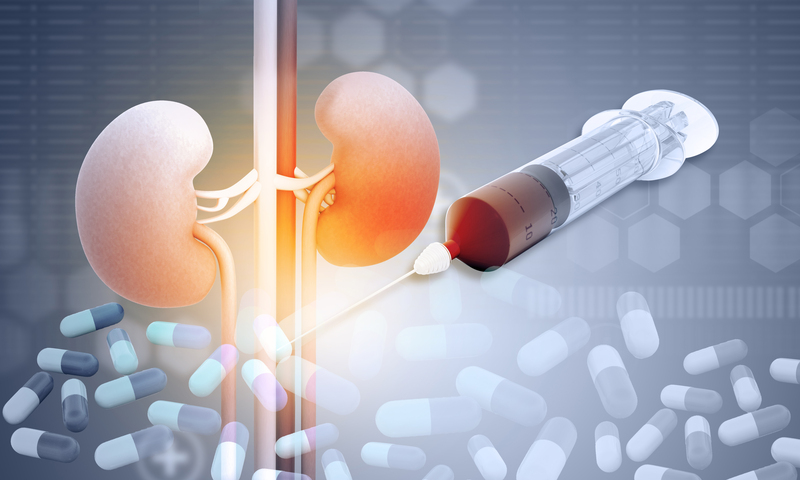 高蛋白飲食傷腎? 腎臟科醫師揭真相:10大高磷食物要小心